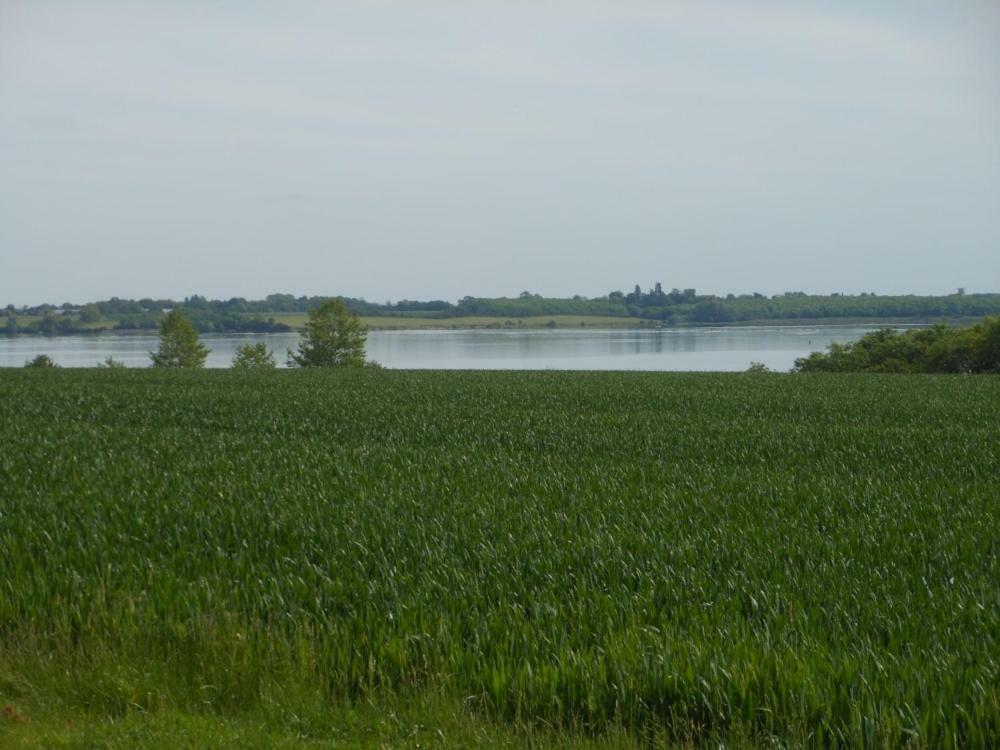 Grafham Water Lodge Exterior foto